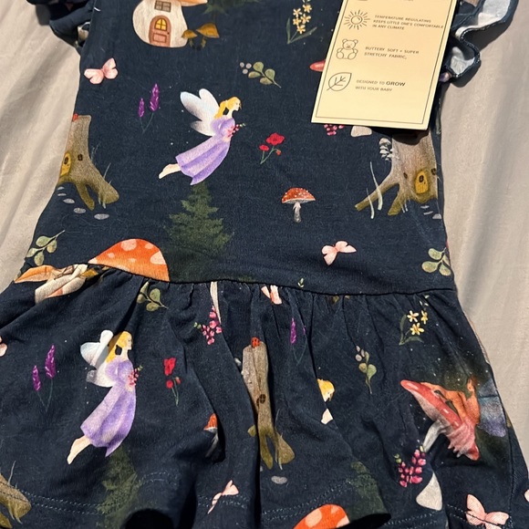 Bamboo - Picture 6 of 8